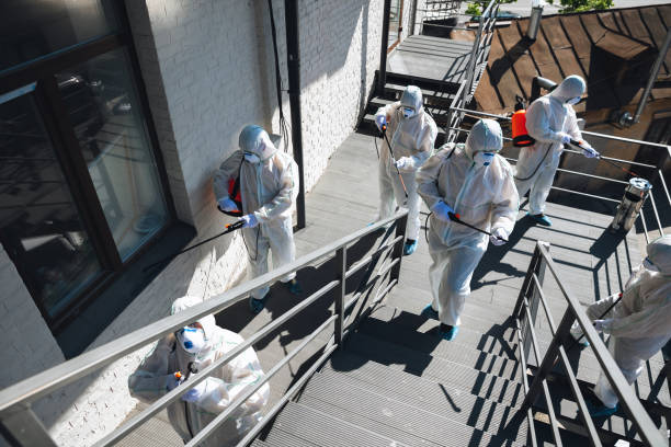 Best Post-Construction Mold Inspection  in Lowell, IN